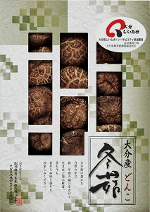 啪Yőǂ L9096546 퉷ij  Mtg  䒆 Ε Ε ̓ ̓ hV̓