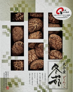 啪Yőǂ L9096567 퉷ij  Mtg  䒆 Ε Ε ̓ ̓ hV̓