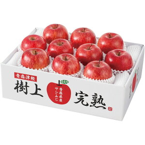 Ε XY ㊮nTӂ 퉷 V6015526Tij Ε ~̃Mtg 蕨 