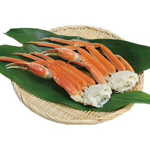 Ε 킢Ir Ⓚ V6017534Tij Ε ~̃Mtg 蕨 