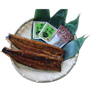 Ε lEl΂ȂĒ Ⓚ V6020589Tij Ε ~̃Mtg 蕨 