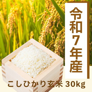 �ߘa7�N�y���� 30kg�z�V�������n�Y �����Ђ��� �ߘa7�N�x ���� 30�L�� ���� �R�� ��̓�