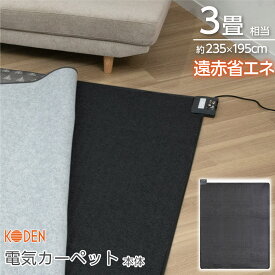 ホットカーペット 3畳 本体 235×195cm スライド温度調節 ダニクリーン 遠赤外線効果 室温センサー 暖房面切換 8時間自動オフ VWU301R-C 広電(KODEN)