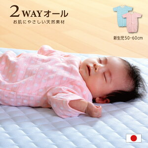 p[X xr[ c[EFCI[  hbg Jo[I[ 100 7 j̎q ̎q V ڌjbg 50-70cm oY Mtg {b킢 F sN O[ މ@ {Q