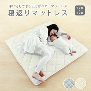 Q}bg Ԃ xr[}bgX vC}bg QԂxr[ }bgX Q}bg xr[~zc vC}bg Ԃ120 Ԃ zc ` Ԃ vC}bg xr[ 