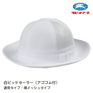 ʉXq ʊwpXq F sbPZ[[ ASSt | 46-1 | SEMELELL bVȂIׂ l[^O Ђ[vt UV΍ {t  ct ۈ牀 w w Z 