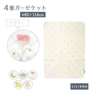 K[[Pbg xr[ uPbg Ԃ 4dK[[ t  H ~ V 0`4  oYj Rbg100 􂦂 QPbg Mtg 킢   [t    oYj