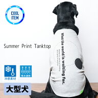 【接触冷感】犬服 ドッグウェア 服 ペット服 夏用 夏服 クールウェア クール cool メッシュ / TYPE_01 / …