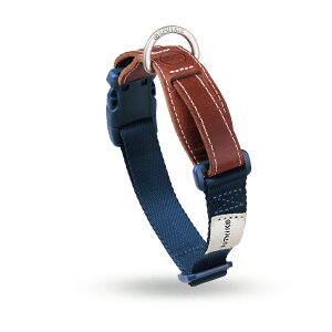 SPUTNIK Xv[gjN   J[ ^ {v / Explore bh CG[ O[ u[ / ^ ^ uh[go[ S[fgo[ t`uhbO Vv i`