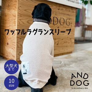  hbOEFA  ybg H~ t H ~ t@[ ANDDOG / btOX[u I[g~[ `R[ / ^ uh[go[ S[fgo[ t`uhb