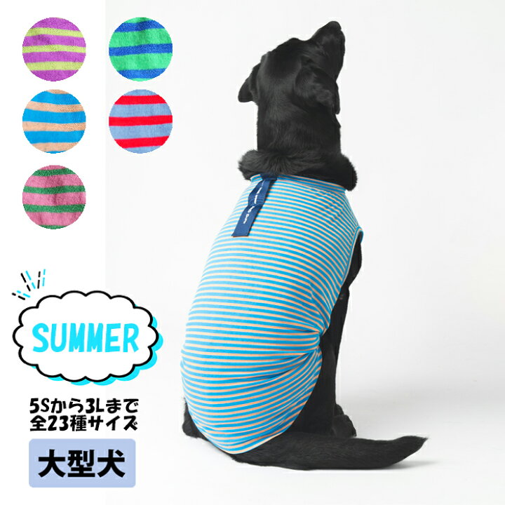 楽天市場】ドッグウェア 犬服 服 ペット服 ANDDOG / ポップボーダー 全 