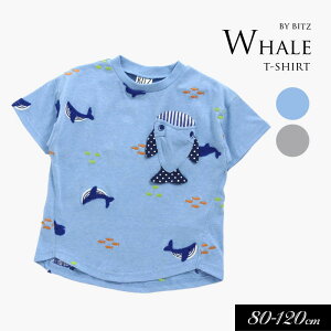 40OFF2024āyBIT'Z/rbczNWhJ TVc80cm 90cm 95cm 100cm 110cm 120cm q LbY j̎q ̎q j  qǂ V