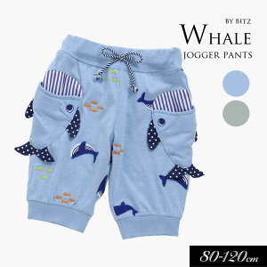 40OFF2024āyBit'z/rbczNWhJ WK[ pc 680cm 90cm 95cm 100cm 110cm 120cm≀p Jbg\[pc Xgb` ւp jbgpc Y{ ampersand