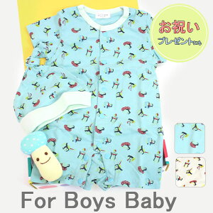 Z[1000~ __IWiMtg3_Zbg^^70cm 80cm┼Jo[I[+xr[Xq+̂gxr[ j̎q mignon/~Om