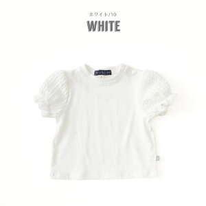 40OFF2024āyLittle s.t.by s.t.closet/gGXeB[z[X X[u TVc80cm 90cm 100cm 110cm 120cm 130cmq LbY ̎q  qǂ 킢  o