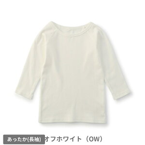 y2_ȏőIz2025H~yampersand/ApThz  Ci[ TVc   Nс80cm 90cm 100cm 110cm 120cm 130cm 140cmLbY xr[  Vc Ȃ10{