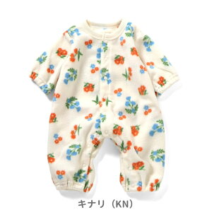 _3_10OFFN[|^2025H~tyampersand/ApThzt[X  Jo[I[60cm 70cm 80cm t[X xr[ p[X Jo[I[ AE^[ h ̎q j̎q Ԃ 