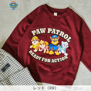 yő15OFFΏہz2025H~@pEEpg[ 4 g[i[90cm 100cm 110cm 120cm 130cmPAW Patrol j̎q ̎q q LbY  gbvX  H H GtI[ FO