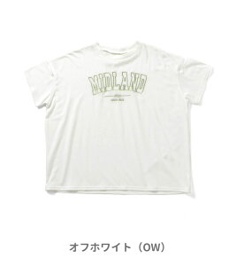 ��40��OFF��2025�āyalgy/�A���W�[�z�y�ڐG�⊴�zMIDLAND ������ BIG T ��130cm 140cm 150cm 160cm��Ђ��� ���̎q ALGY �A���W�[ �q���� �L�b�Y ������ ���� T�V���c �g�b�v�X ���w�� ���w�� ������� ����