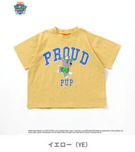 40OFF2025ā@pEEpg[ oG[V TVc90cm 100cm 110cm 120cm 130cmj̎q ̎q BREEZE u[Y q LbY xr[  gbvX  ĕ ĕ GtI[ FO