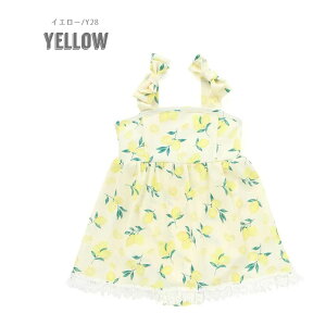 40OFFSALE2025āySLAP SLIP/XbvXbv/byxxz{ t[c s[X^ XCEFA100cm 110cm 120cm 130cmq LbY ̎q  qǂ XC 