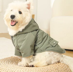  L { EBhu[J[ U o  I JtF h h   ˂ JWA  H~  Rbg  qL ` pO gCv[h q 