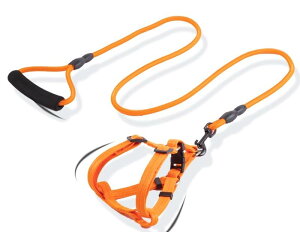 2点セット リード ハーネス XS S M L オレンジ レッド ブルー ブラック ピンク イエロー パープル ブラウン 赤 水色 黒 黄色 紫 茶色 大型 中型 小型 超小型 犬用 猫用 散歩 お出かけ ペット カジ