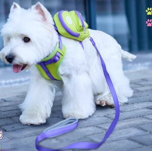 ybgpi  n[lX [h ^ ^ ^ q y v ߉\ bN ΂ |Pbgt [@\  킢 Vv h j[N Oop Up 