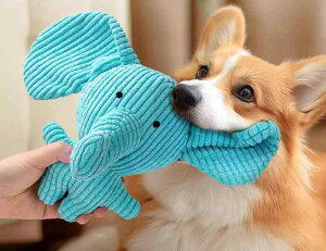 ݂ p v[g  pߋ qp ʂ ̏o邨  Ȏh ދ V f^PA ݂h~ f^ pʂ ]E EV lR 