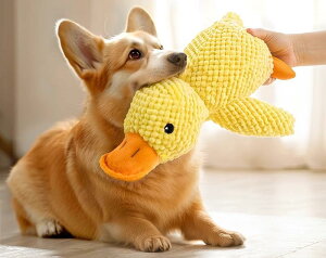  p p  ʂ ދa炰 ɂԂ ^s f^PA lV Aq ʂ q ^ h~ ݂h~ pi ObY  Aj