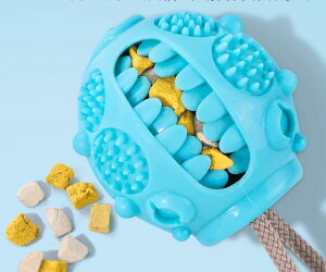 ybgpi   {[  zՕt [vt  ی^ XgXU ^s  g[jO ^ ^ ^ V hbOgC  