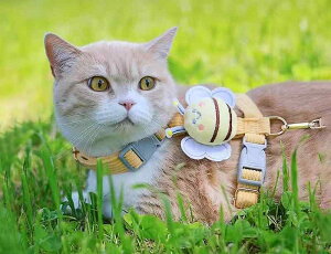 n[lX [h Zbg L ETM S M CG[ sN u[ O[ p[v I n` Bee    ˂ U o Oo Eh~ qh~ EȂ Ȃ 