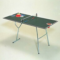 バスケットピンポン一式　付属品付　ミニ卓球　　　バスケットピンポン協会日本レクレーション協会推奨品…
