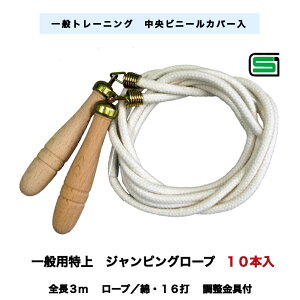 ʗpȂȂƂѓ3m 10{Zbg { ؐObvgp iSii ۈwZpiǂǕi 15106