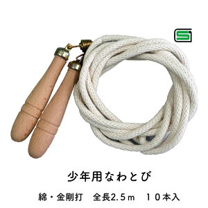 NpȂȂƂ 2.5m 10{ { ؐObvgp iSii ۈwZpiǂǕi 15203