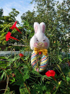 zႪ炪烉gAj}goj[I!!MtgbsO