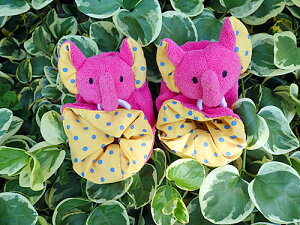 u[eB[V[YAj}[V[Y@sNI!!MtgbsO