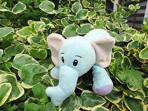 zʂݕzG{\tgʂݐԂʂ݃Gt@gI!!MtgbsO