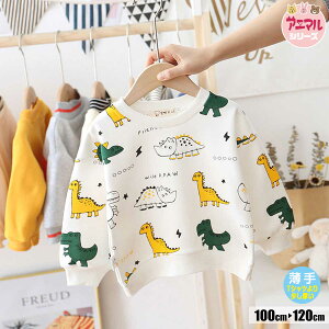 トリケラトプス ティラノサウルス ベビー キッズの人気商品 通販 価格比較 価格 Com