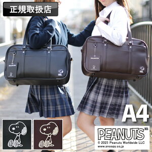 s[ibc XN[obO PEANUTS Xk[s[  XNo q Y fB[X LbY ̎q ʊw w Z wZ jp ʊw΂ {Xg w WjA A4 pXP[Xt