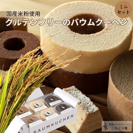 バウムクーヘン 個包装 米粉 スイーツ 米粉バウムクーヘン 退職 子ども お菓子 子ども おやつ こおどり庵 グルテンフリー バウムクーヘン バームクーヘン プレーン ショコラ 玄米 ミニサイズ ミニセット 米粉 山形県産 つや姫 ギフト