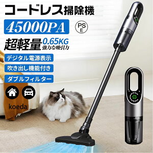 yVi~Ԍ20%OFFz2025V^ |@ R[hX [d ͋z lC TCN 45000Pa yʃnfB|@ USB-TypeC[d HEPAtB^[ 2WAY XeBbN XeBbN l炵 nf