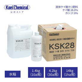 液体けい酸カリ肥料 KSK28 水稲 稲作 米 一等米比率向上 登熟向上増収（粒張り向上）倒伏軽減高温障害（胴割れ・乳白）対策 タンパク抑制