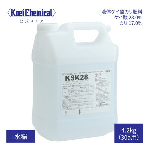 液体けい酸カリ肥料 KSK28 水稲 稲作 米 一等米比率向上 登熟向上増収(粒張り向上)倒伏軽減高温障害(胴割れ・乳白)対策 タンパク抑制