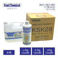 液体けい酸カリ肥料 KSK28 水稲 稲作 米 一等米比率向上 登熟向上増収（粒張り向上）倒伏軽減高温障害（…