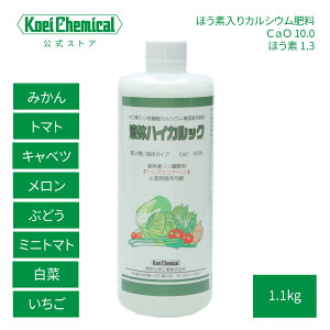 قfL@_JVEt t̃nCJbN 1.1kg tʎUz엿 ʎ  g}g ~jg}g s[} イ iX XCJ  JVEEzEf⋋ `bvo[΍ 