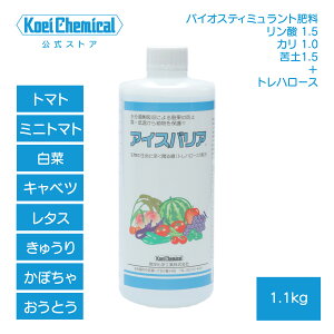 ΂΍엿 ACXoA 1.1kg ʎ    v[ g}g  Lxc イ ^X y Nxێ ҏɍ Zgn[X ێp