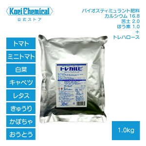 Q΍ 엿 gJr 1kg tʎUz ʎ  ҏ΍ gn[X JVEEzEfEy⋋ g}g ^X XCJ ΂ꂢ  Lxc΂΍ y o