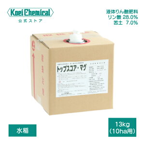 ẗ_}OlVE엿gbvXRAE}O 1.25kg    k͔| tʎUz ^pN} Čy  d i ǐH 萶Y