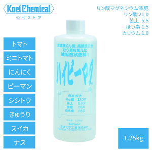 JEقft̃_y엿 nCs[}O 1.25kg tʎUz  i fߑ΍ k΍ ʕsǑ΍ }OlVE _  g}g ~jg}g イ s[}